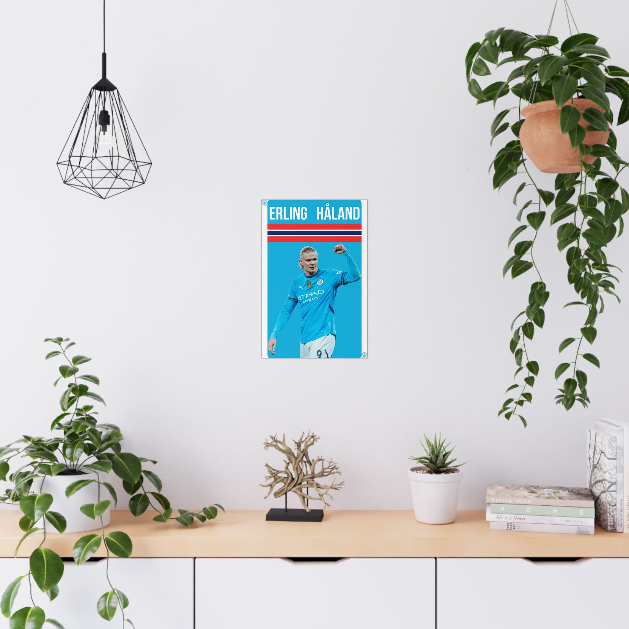 Poster - Haaland