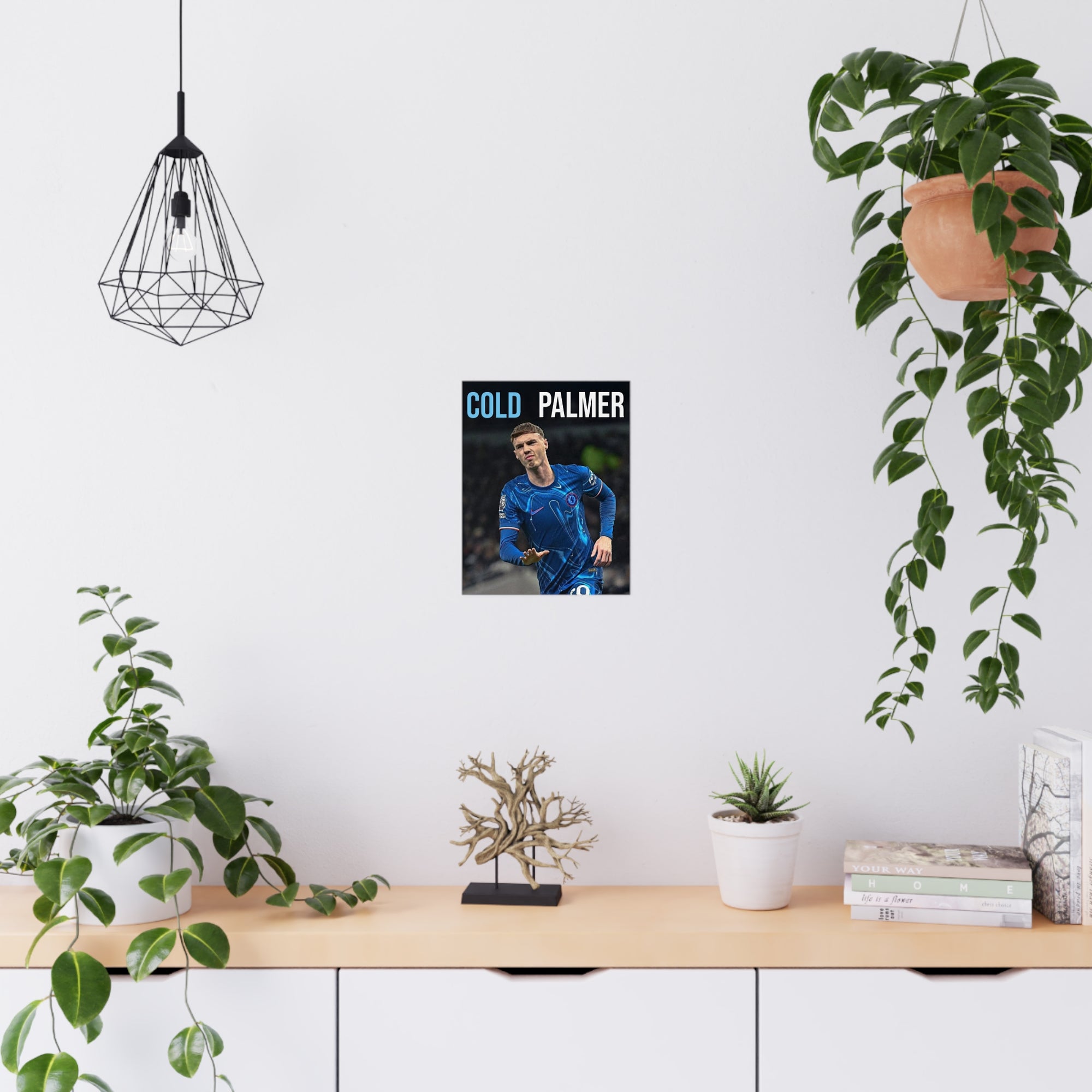 Poster - Cole Palmer