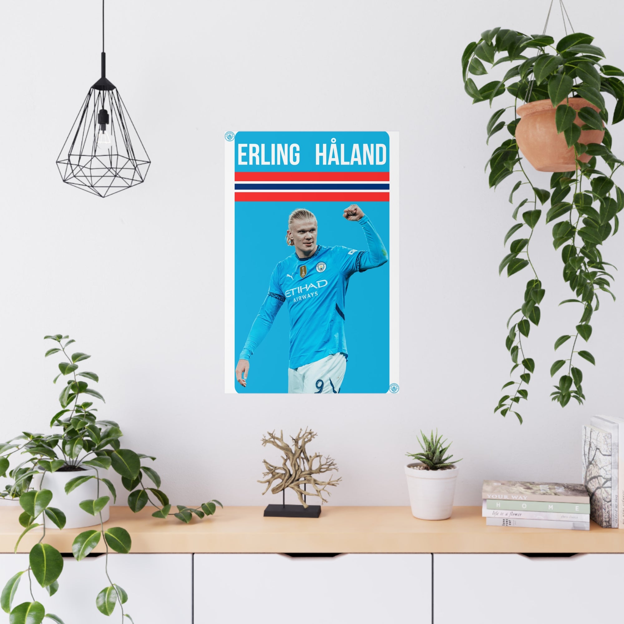 Poster - Haaland